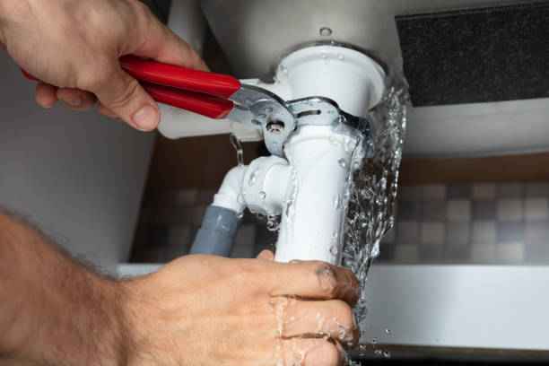 Best Sewage cleanup and water damage restoration  in Homer, MI