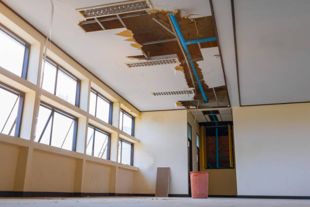 Best Water damage restoration near me  in Homer, MI