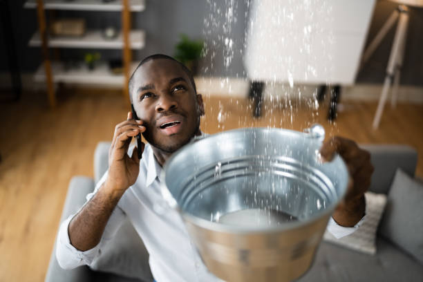 Best Flood damage cleanup  in Homer, MI