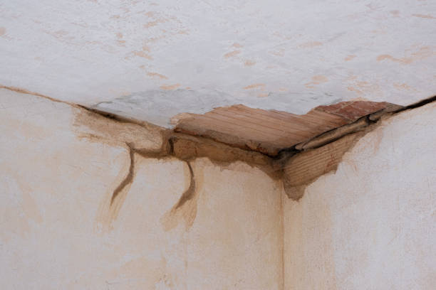 Best Water damage restoration near me  in Homer, MI