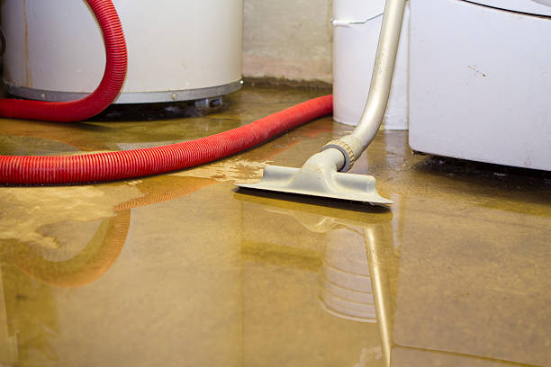 Best 24/7 water damage repair  in Homer, MI