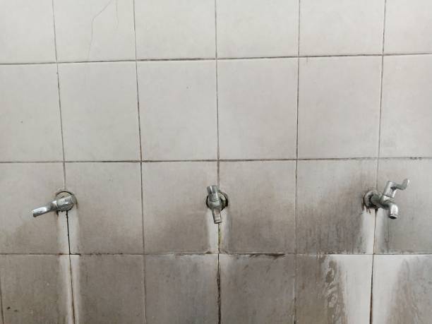Best Emergency water damage restoration  in Homer, MI