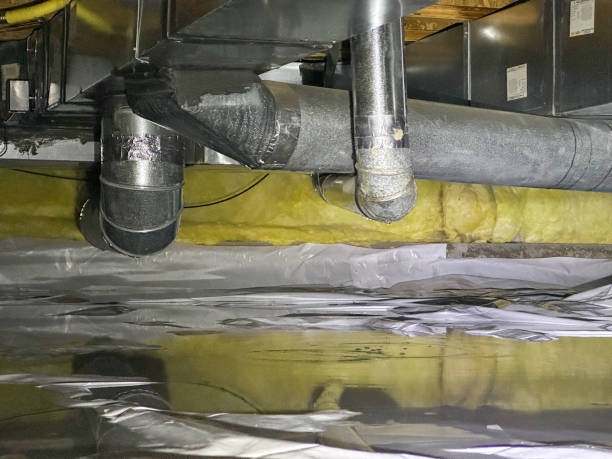 Best Carpet water damage restoration  in Homer, MI