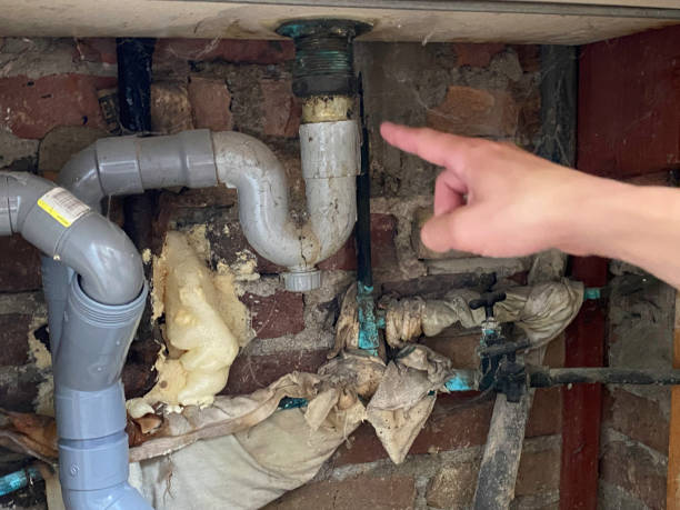 Best Carpet water damage restoration  in Homer, MI