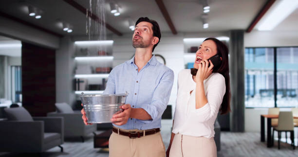 Best Water damage restoration insurance claims  in Homer, MI