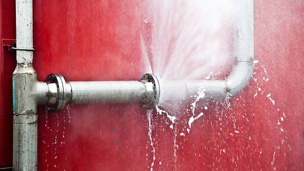 Best Flooded house restoration  in Homer, MI